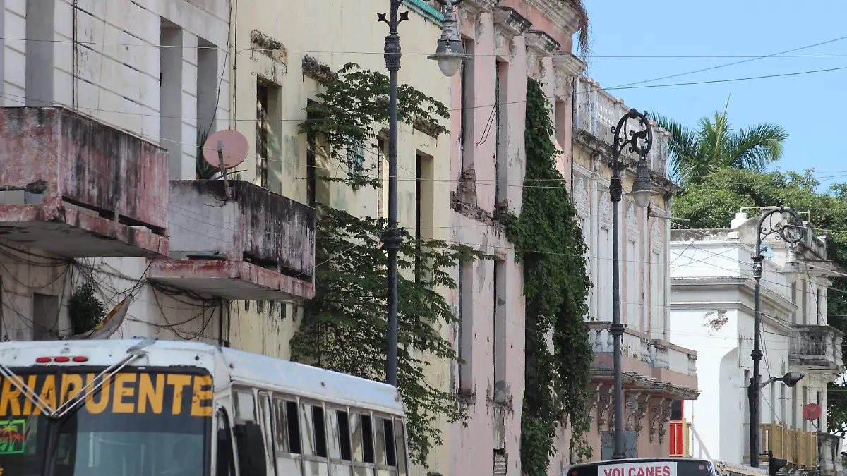 planta sobreviviendo a la mancha urbana (7)